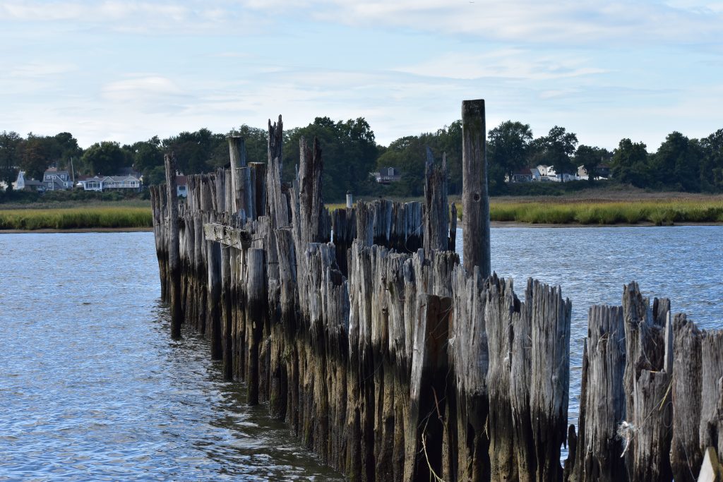 Keeping Your Dock Investment Safe: Dock Protection Options & Pier Protection Ideas to Help Your Dock Last Longer