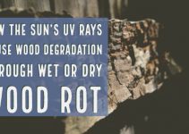 how the sun's uv rays cause wood degradation through wet or dry wood rot